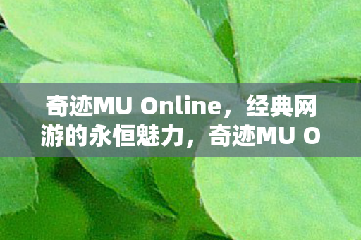奇迹MU Online，经典网游的永恒魅力，奇迹MU Online，经典网游的永恒魅力