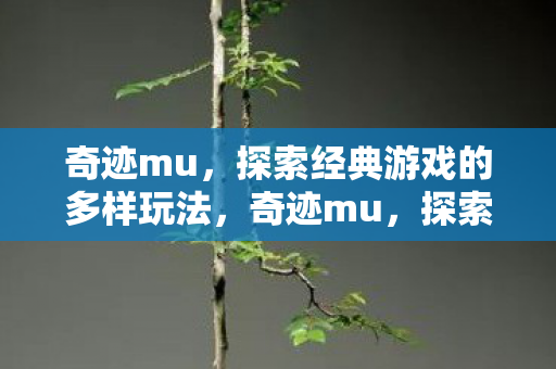 奇迹mu,探索经典游戏的多样玩法,奇迹mu,探索经典游戏的多样玩法 奇迹mu,探索经典游戏的多样玩法,奇迹mu,探索经典游戏的多样玩法