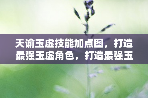 天谕玉虚技能加点图解析图片