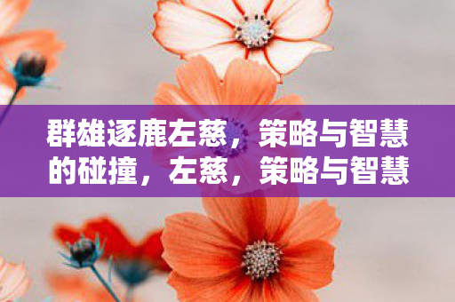 群雄逐鹿左慈,策略与智慧的碰撞,左慈,策略与智慧的碰撞 群雄逐鹿左慈,策略与智慧的碰撞,左慈,策略与智慧的碰撞