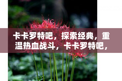卡卡罗特吧，探索经典，重温热血战斗，卡卡罗特吧，重温热血战斗，探索经典回忆
