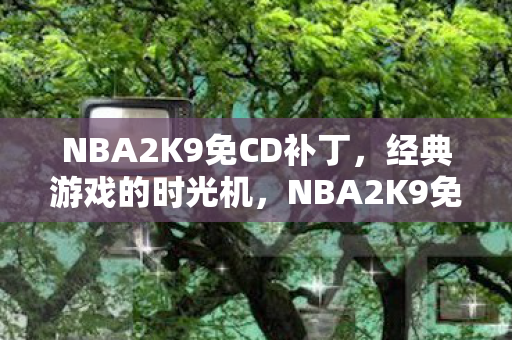 NBA2K9免CD补丁,经典游戏的时光机,NBA2K9免CD补丁,重温经典游戏时光 NBA2K9免CD补丁,经典游戏的时光机,NBA2K9免CD补丁,重温经典游戏时光