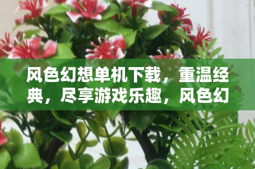 风色幻想单机版下载图片