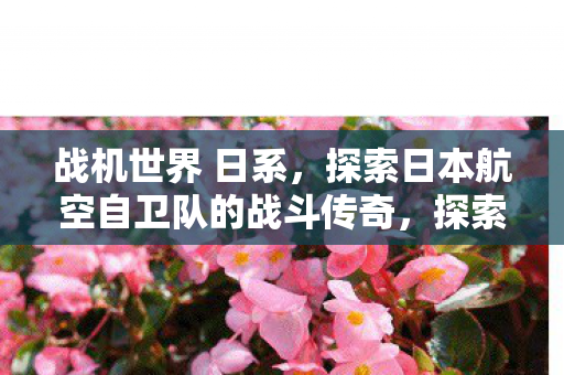 战机世界 日系,探索日本航空自卫队的战斗传奇,探索日本航空自卫队,战机世界的传奇之战 战机世界 日系,探索日本航空自卫队的战斗传奇,探索日本航空自卫队,战机世界的传奇之战