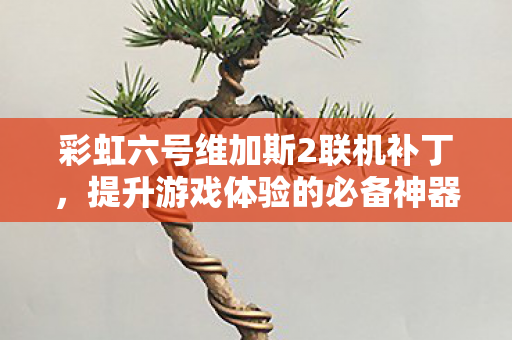 彩虹六号维加斯2联机补丁,提升游戏体验的必备神器,彩虹六号维加斯2联机补丁,提升游戏体验的必备利器 彩虹六号维加斯2联机补丁,提升游戏体验的必备神器,彩虹六号维加斯2联机补丁,提升游戏体验的必备利器