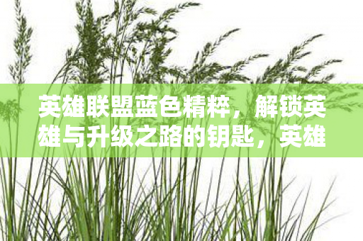 解锁英雄与升级之路的钥匙图片