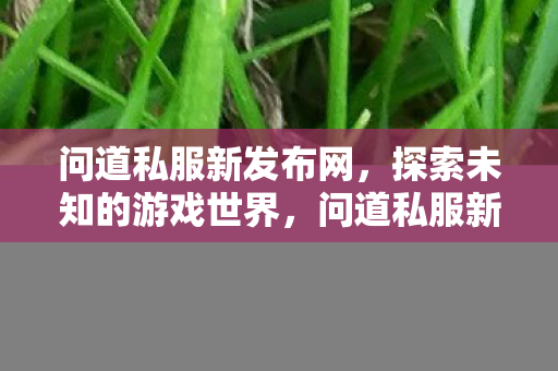 探索未知的游戏世界图片