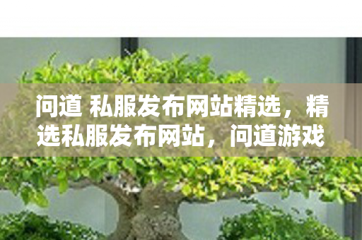 问道 私服发布网站精选图片