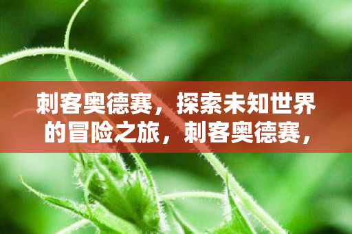 探索未知世界的冒险之旅图片