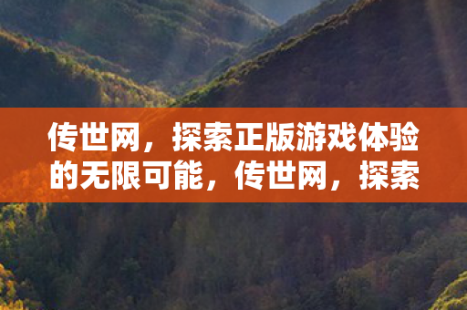 探索正版游戏体验的无限可能图片