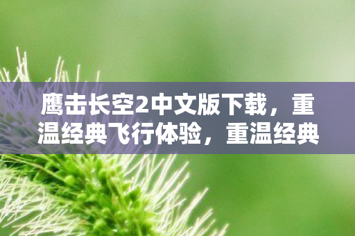鹰击长空2中文版下载,重温经典飞行体验,重温经典飞行体验,鹰击长空2中文版下载 鹰击长空2中文版下载,重温经典飞行体验,重温经典飞行体验,鹰击长空2中文版下载