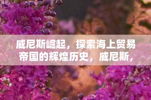 威尼斯崛起,探索海上贸易帝国的辉煌历史,威尼斯,海上贸易帝国的崛起与辉煌历史 威尼斯崛起,探索海上贸易帝国的辉煌历史,威尼斯,海上贸易帝国的崛起与辉煌历史