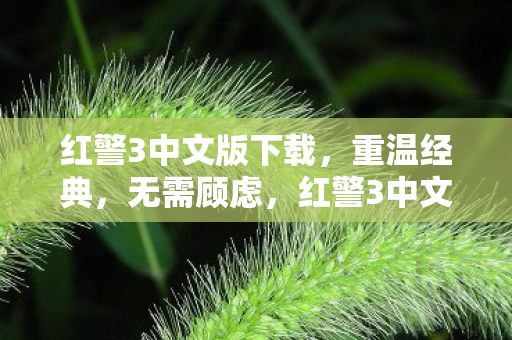 红警3中文版下载，重温经典，无需顾虑，红警3中文版重温经典，免费下载无顾虑