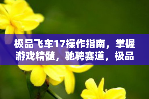 极品飞车17操作指南,掌握游戏精髓,驰骋赛道,极品飞车17,掌握操作精髓,驰骋赛道 极品飞车17操作指南,掌握游戏精髓,驰骋赛道,极品飞车17,掌握操作精髓,驰骋赛道
