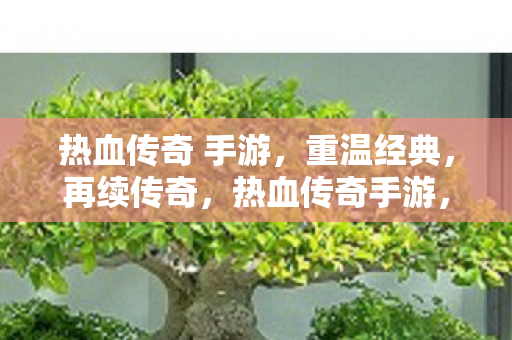 热血传奇 手游图片