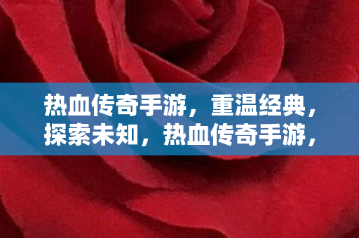 热血传奇手游图片