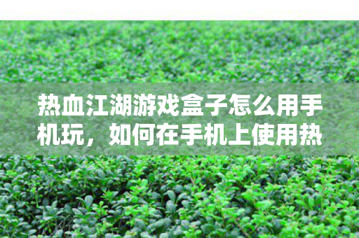 热血江湖游戏盒子怎么用手机玩，如何在手机上使用热血江湖游戏盒子