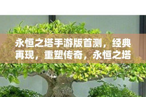 永恒之塔手游版首测重塑传奇图片