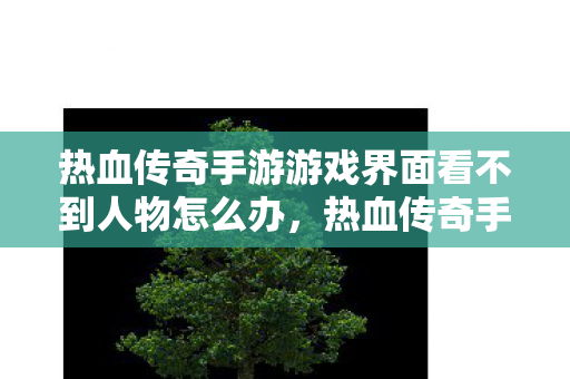 热血传奇手游游戏界面看不到人物解决方法图片
