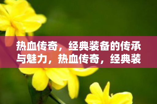 热血传奇,经典装备的传承与魅力,热血传奇,经典装备的传承与魅力 热血传奇,经典装备的传承与魅力,热血传奇,经典装备的传承与魅力