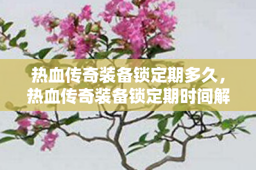 热血传奇装备锁定期时间解析图片