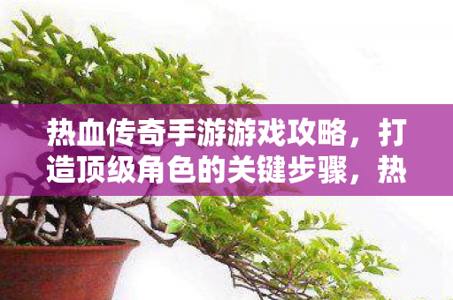 打造顶级角色的关键步骤图片