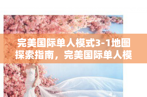 完美国际单人模式3图片