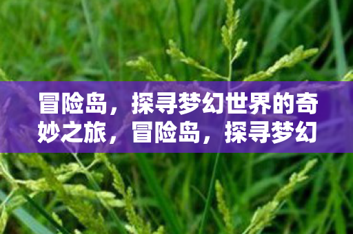 探寻梦幻世界的奇妙之旅图片