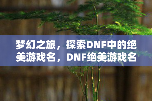 探索DNF中的绝美游戏名图片