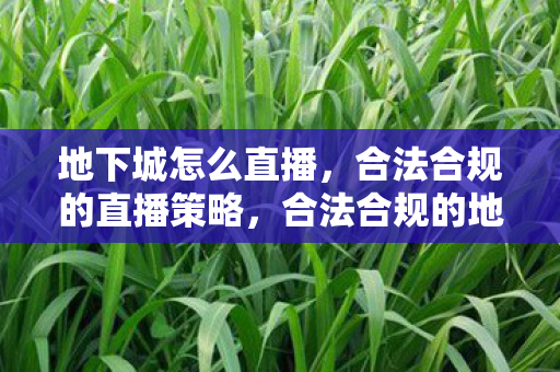 合法合规的地下城直播策略图片