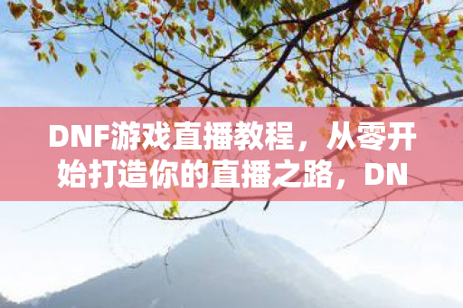 从零开始打造你的直播之路图片