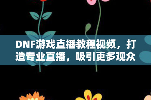 DNF游戏直播教程视频图片