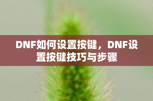 DNF设置按键技巧与步骤图片