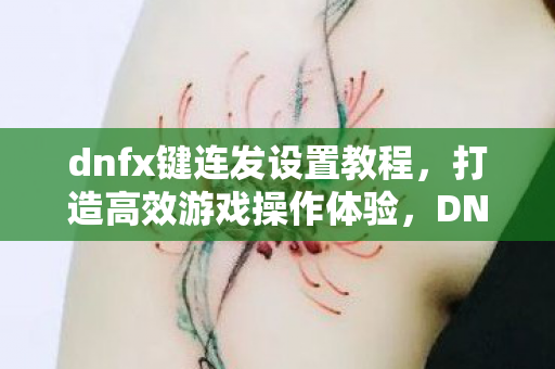 dnfx键连发设置教程图片