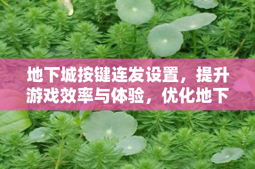 按键连发设置提升效率与体验图片