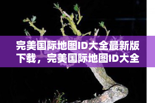 完美国际地图ID大全最新版下载图片