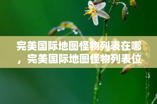 完美国际地图怪物列表在哪,完美国际地图怪物列表位置 完美国际地图怪物列表在哪,完美国际地图怪物列表位置