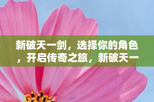 选择你的角色图片