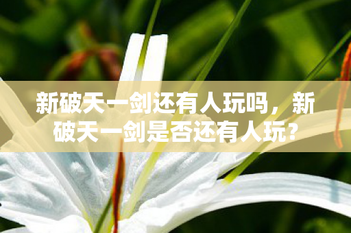 新破天一剑是否还有人玩图片