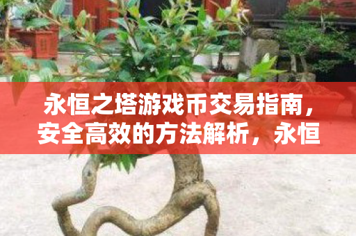 永恒之塔游戏币交易指南,安全高效的方法解析,永恒之塔游戏币交易安全高效指南 永恒之塔游戏币交易指南,安全高效的方法解析,永恒之塔游戏币交易安全高效指南
