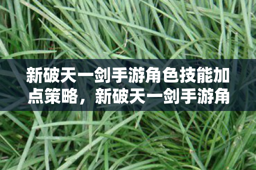 新破天一剑手游角色技能加点策略图片
