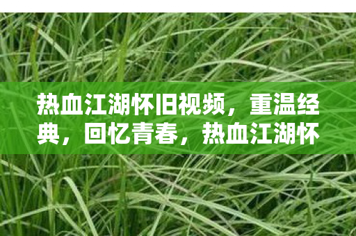热血江湖怀旧视频图片