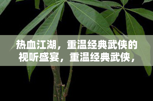 重温经典武侠的视听盛宴图片