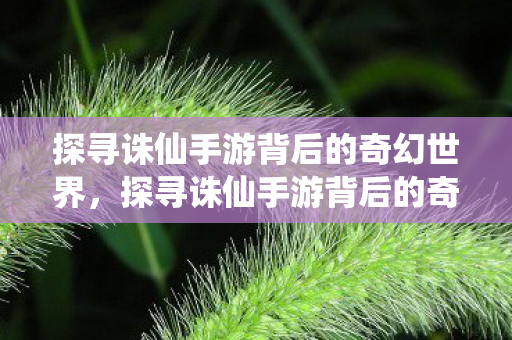 探寻诛仙手游背后的奇幻世界，探寻诛仙手游背后的奇幻世界，神秘故事与游戏世界的交织