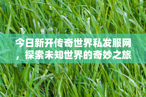 今日新开传奇世界私发服网图片