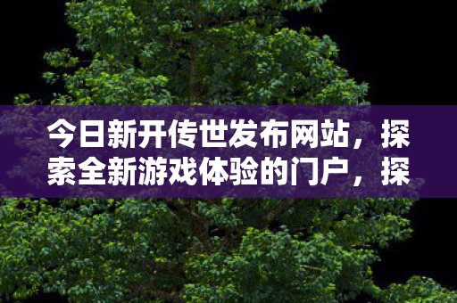 探索全新游戏体验的门户图片