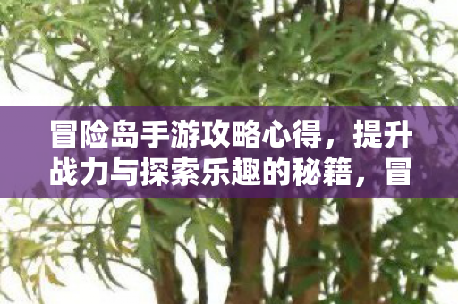 提升战力与探索乐趣的秘籍图片