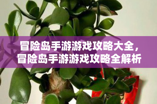 冒险岛手游游戏攻略全解析图片