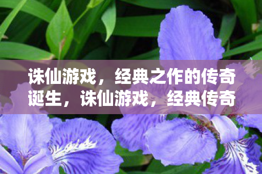 经典之作的传奇诞生图片