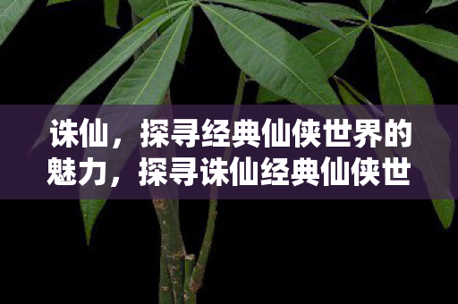 探寻诛仙经典仙侠世界的魅力图片
